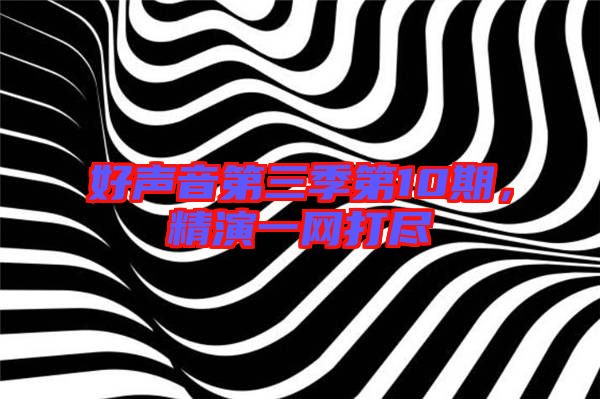 好聲音第三季第10期，精演一網(wǎng)打盡