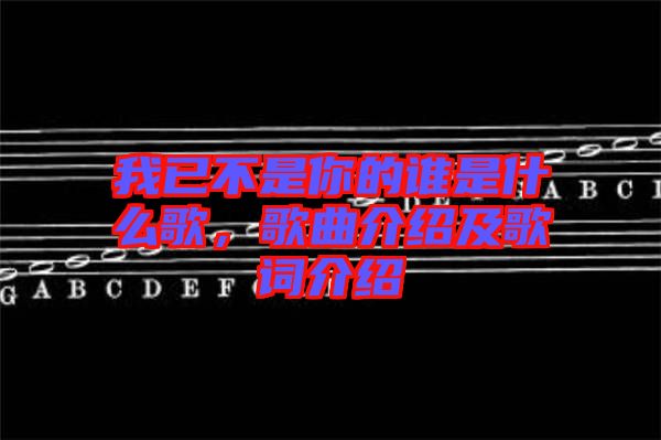 我已不是你的誰(shuí)是什么歌，歌曲介紹及歌詞介紹