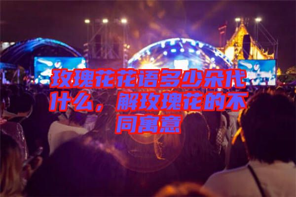 玫瑰花花語多少朵代什么，解玫瑰花的不同寓意