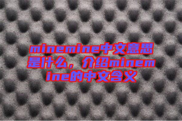 minemine中文意思是什么，介紹minemine的中文含義