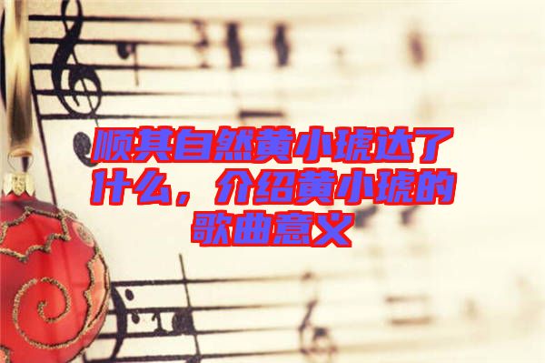順其自然黃小琥達(dá)了什么，介紹黃小琥的歌曲意義