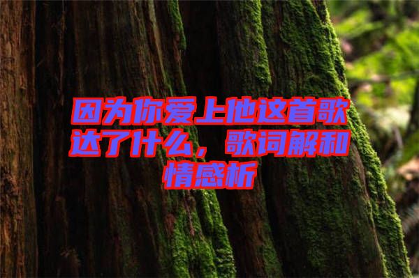 因?yàn)槟銗凵纤@首歌達(dá)了什么，歌詞解和情感析