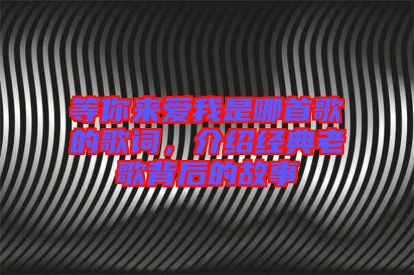 等你來(lái)愛我是哪首歌的歌詞，介紹經(jīng)典老歌背后的故事