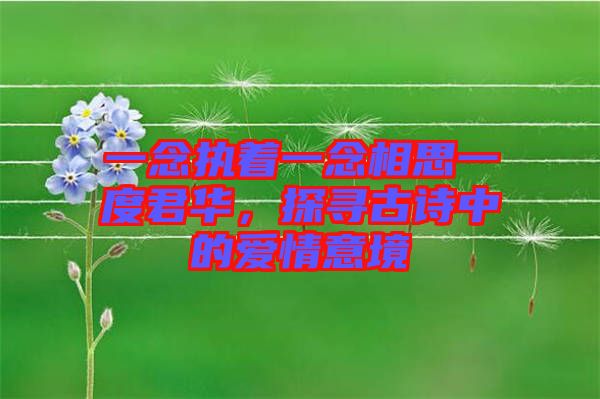 一念執(zhí)著一念相思一度君華，探尋古詩(shī)中的愛(ài)情意境