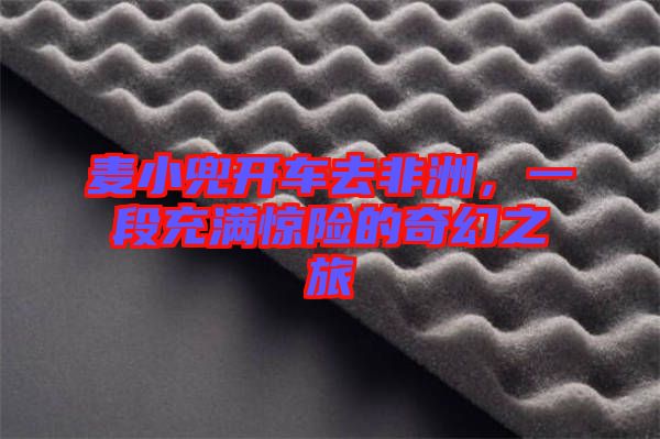 麥小兜開車去非洲，一段充滿驚險的奇幻之旅