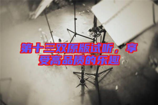 第十三雙原版試聽，享受高品質(zhì)的樂趣