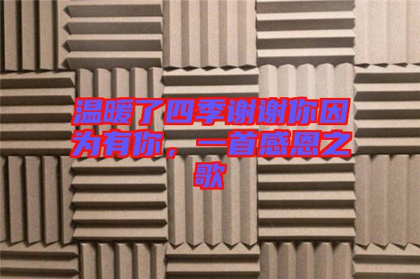溫暖了四季謝謝你因為有你，一首感恩之歌