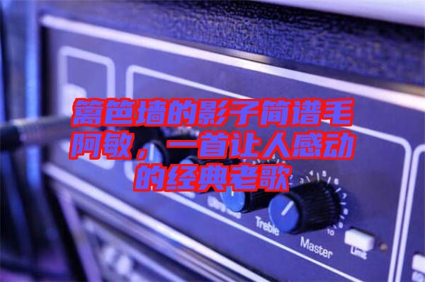 籬笆墻的影子簡譜毛阿敏，一首讓人感動的經(jīng)典老歌