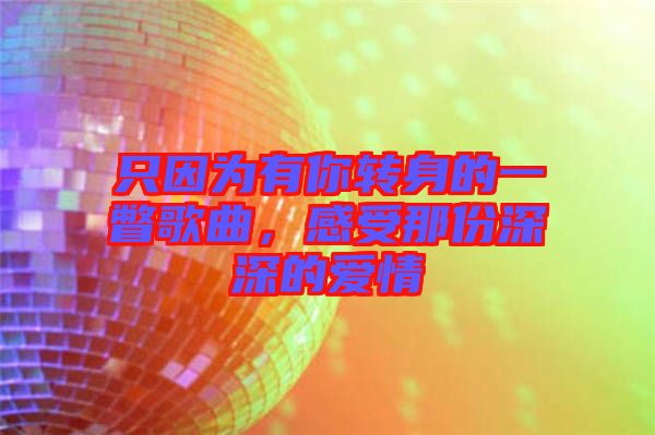只因?yàn)橛心戕D(zhuǎn)身的一瞥歌曲，感受那份深深的愛情