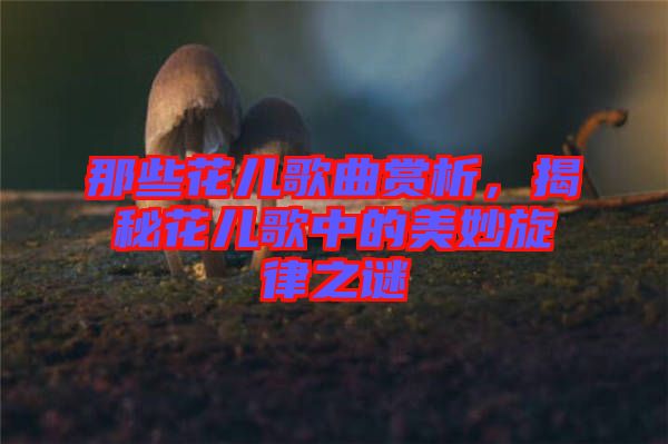 那些花兒歌曲賞析，揭秘花兒歌中的美妙旋律之謎