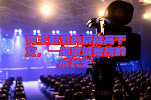 男主很混的京味高干文，一部京城貴族的成長(zhǎng)史