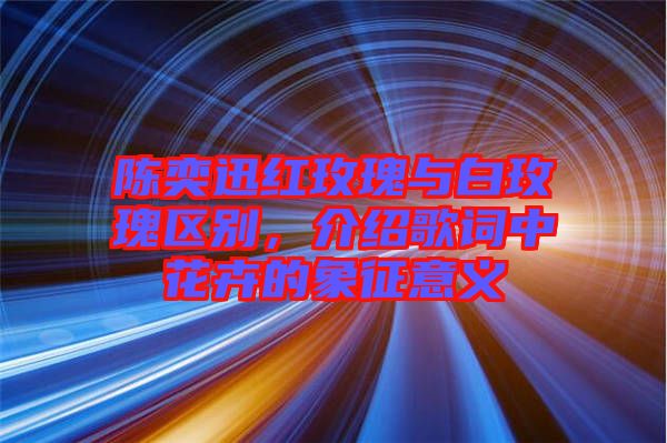 陳奕迅紅玫瑰與白玫瑰區(qū)別，介紹歌詞中花卉的象征意義