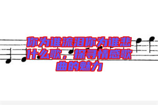 你為誰流淚你為誰悲什么歌，探尋情感歌曲的魅力