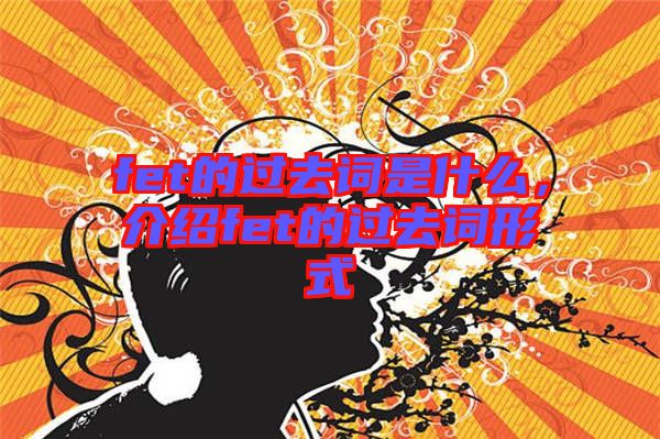 fet的過去詞是什么，介紹fet的過去詞形式