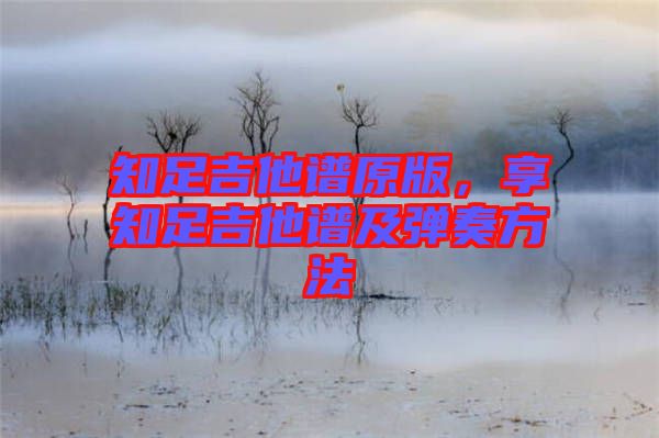 知足吉他譜原版，享知足吉他譜及彈奏方法