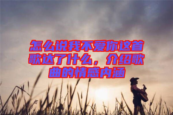 怎么說我不愛你這首歌達了什么，介紹歌曲的情感內(nèi)涵