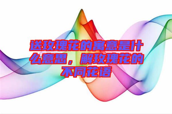 送玫瑰花的寓意是什么意思，解玫瑰花的不同花語