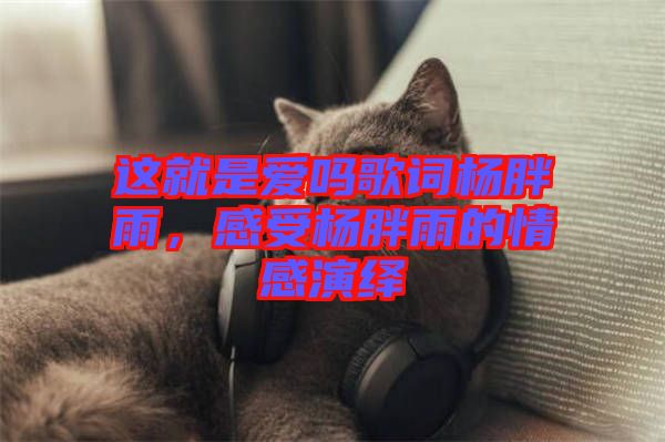 這就是愛嗎歌詞楊胖雨，感受楊胖雨的情感演繹