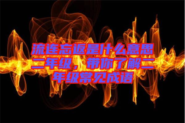 流連忘返是什么意思二年級(jí)，帶你了解二年級(jí)常見(jiàn)成語(yǔ)