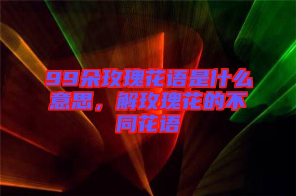 99朵玫瑰花語(yǔ)是什么意思，解玫瑰花的不同花語(yǔ)