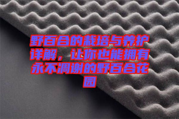 野百合的栽培與養(yǎng)護(hù)詳解，讓你也能擁有永不凋謝的野百合花園