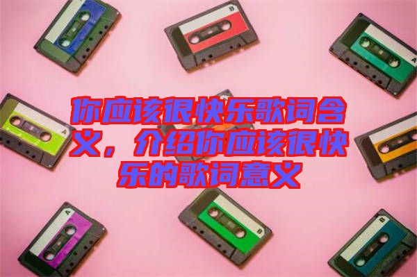 你應(yīng)該很快樂歌詞含義，介紹你應(yīng)該很快樂的歌詞意義