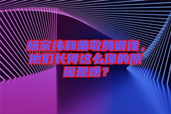 楊宗緯和蕭敬騰很像，他們長得這么像的原因是啥？