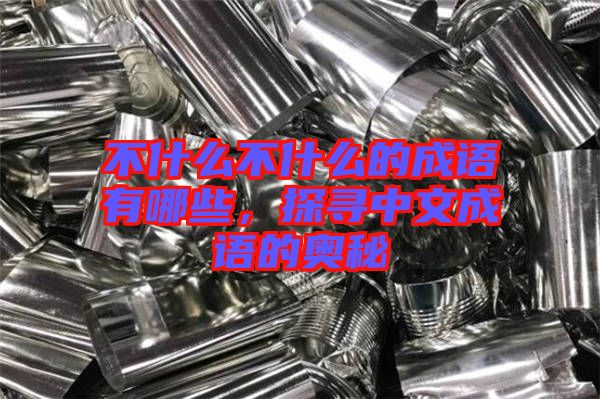 不什么不什么的成語有哪些，探尋中文成語的奧秘
