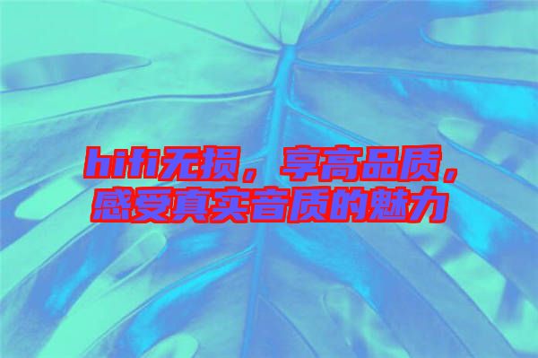hifi無損，享高品質(zhì)，感受真實(shí)音質(zhì)的魅力