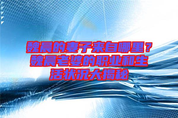 魏晨的妻子來自哪里？魏晨老婆的職業(yè)和生活狀況大揭秘