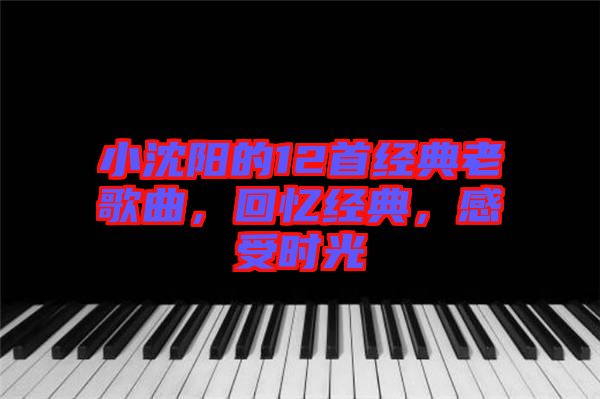小沈陽的12首經(jīng)典老歌曲，回憶經(jīng)典，感受時光