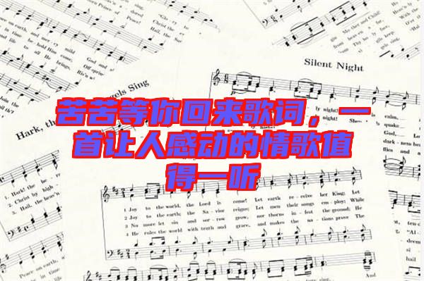 苦苦等你回來歌詞，一首讓人感動的情歌值得一聽