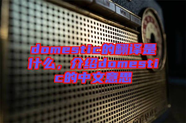 domestic的翻譯是什么，介紹domestic的中文意思
