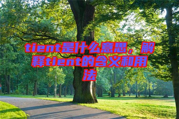 tient是什么意思，解釋tient的含義和用法