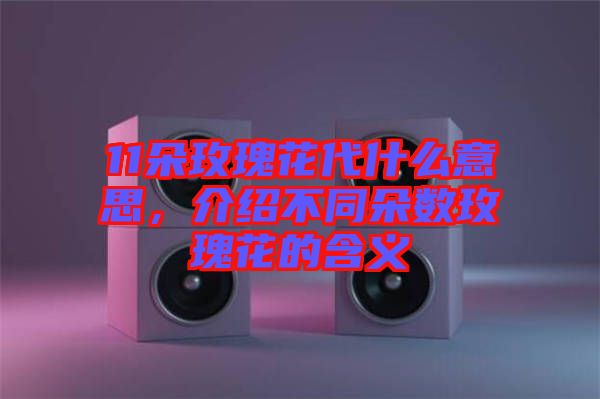 11朵玫瑰花代什么意思，介紹不同朵數(shù)玫瑰花的含義