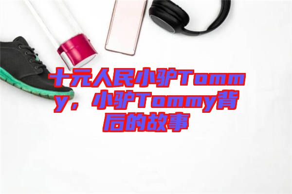 十元人民小驢Tommy，小驢Tommy背后的故事