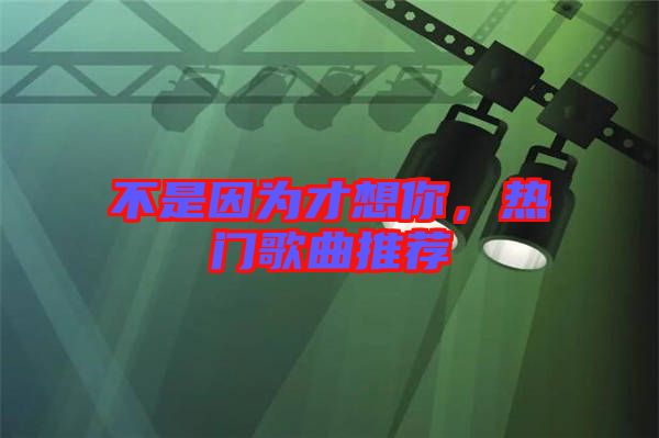 不是因為才想你，熱門歌曲推薦