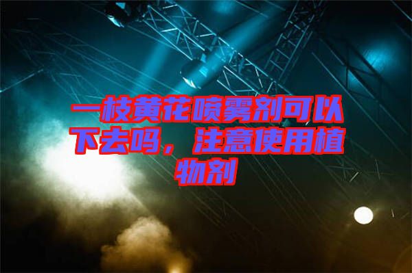 一枝黃花噴霧劑可以下去嗎，注意使用植物劑