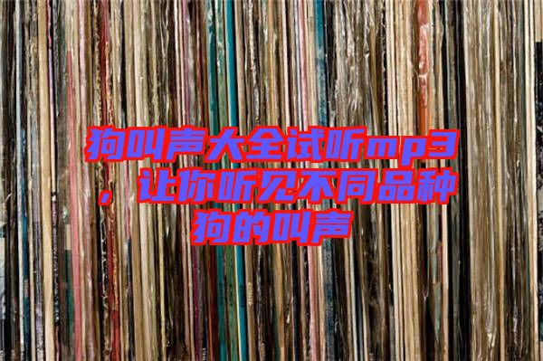 狗叫聲大全試聽mp3，讓你聽見不同品種狗的叫聲