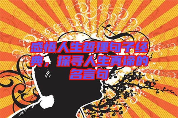 感悟人生哲理句子經(jīng)典，探尋人生真諦的名言句