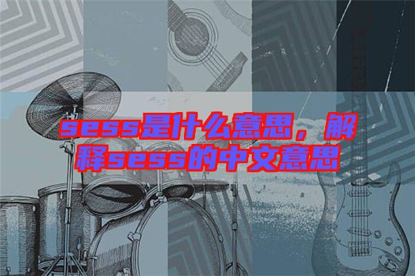 sess是什么意思，解釋sess的中文意思