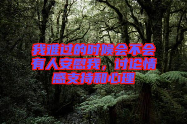 我難過的時(shí)候會(huì)不會(huì)有人安慰我，討論情感支持和心理