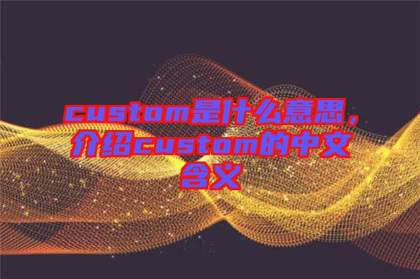 custom是什么意思，介紹custom的中文含義