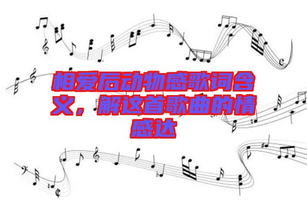 相愛后動物感歌詞含義，解這首歌曲的情感達(dá)