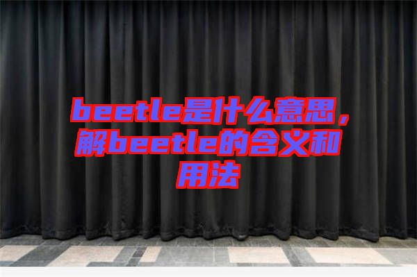 beetle是什么意思，解beetle的含義和用法