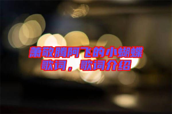 蕭敬騰阿飛的小蝴蝶歌詞，歌詞介紹