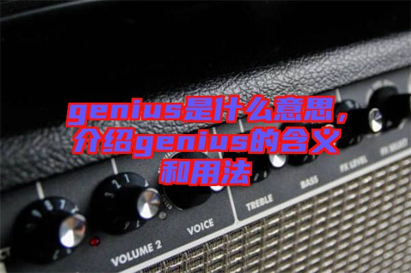 genius是什么意思，介紹genius的含義和用法