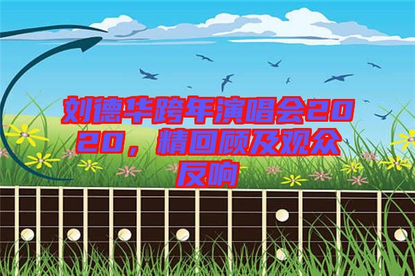 劉德華跨年演唱會(huì)2020，精回顧及觀眾反響