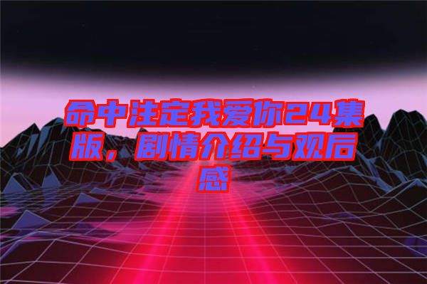 命中注定我愛你24集版，劇情介紹與觀后感