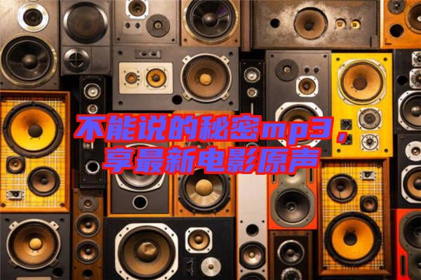 不能說的秘密mp3，享最新電影原聲